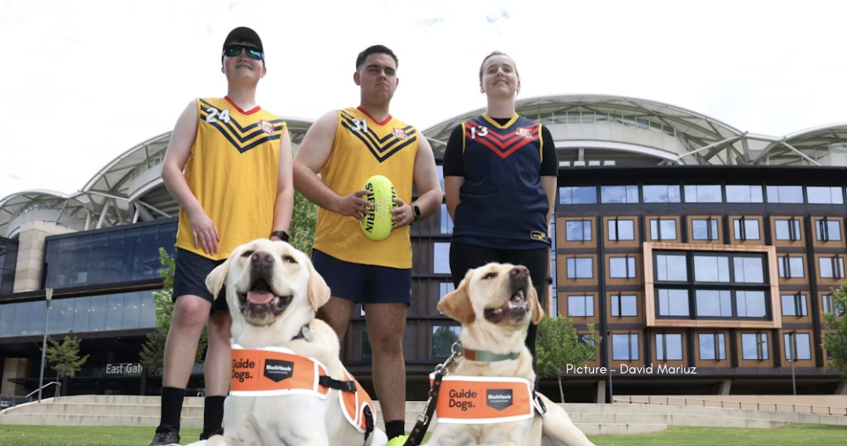 Three AFL players stand on a lawn in front of a stadium, two in yellow guernseys and one in navy, while two Guide Dogs in orange harnesses sit proudly in the foreground facing the camera.